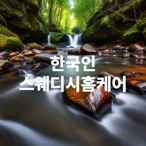 한국인스웨디시홈케어.webp